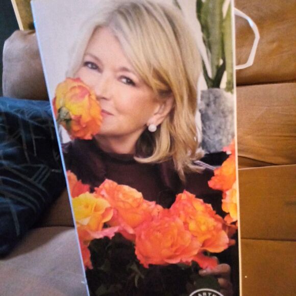 Other - Martha-Stewart-collection Storage-and-organization...B2